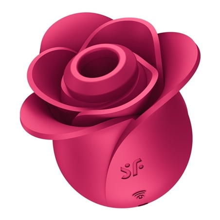 Pro 2 - Modern Rose - Air Pulse Vibrator - PR2010384306