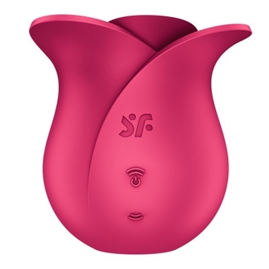 Pro 2 - Modern Rose - Air Pulse Vibrator - PR2010384306