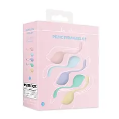 Conjunto de 5 Bolas Vaginais Pelvic Stem Kegel Kit Multicolor Loveline - PR2010387795 2