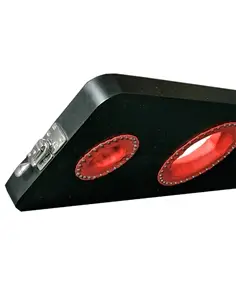 Canga Bdsm 10012 - PR2010331992 2