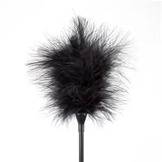 Espanador de Plumas e Chicote Preto Secret Play - PR2010336332 2
